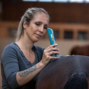 Julia Greb behandelt Pferd in professioneller Umgebung